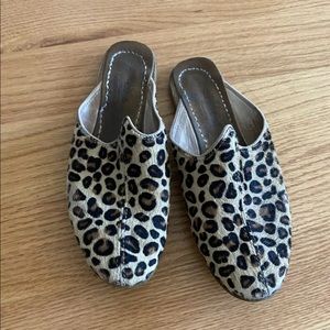 Sabah Baba Slides in Leopard